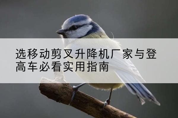 浦城电动升降机厂家-选移动剪叉升降机厂家与登高车必看实用指南