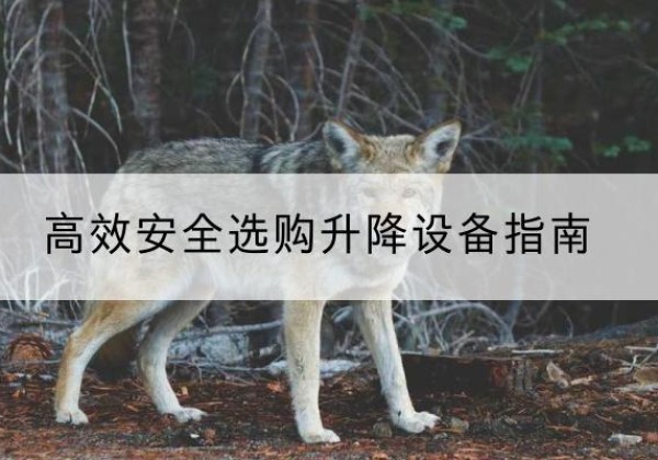 浦城升降货梯厂家推荐-*安全选购升降设备指南