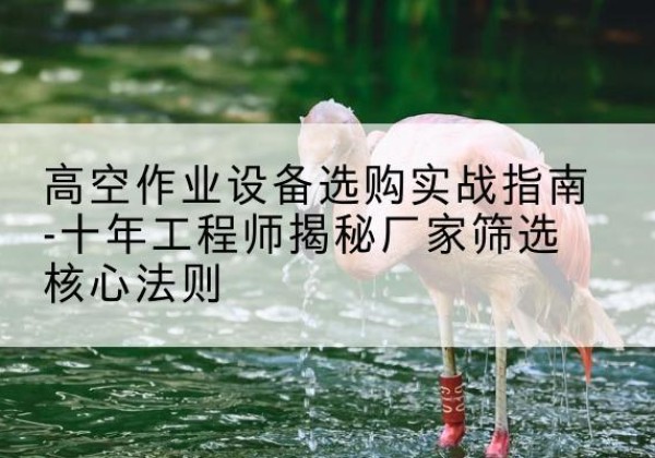 浦城剪叉式升降机厂家-高空作业设备选购实战指南-十年工程师揭秘厂家筛选核心法则
